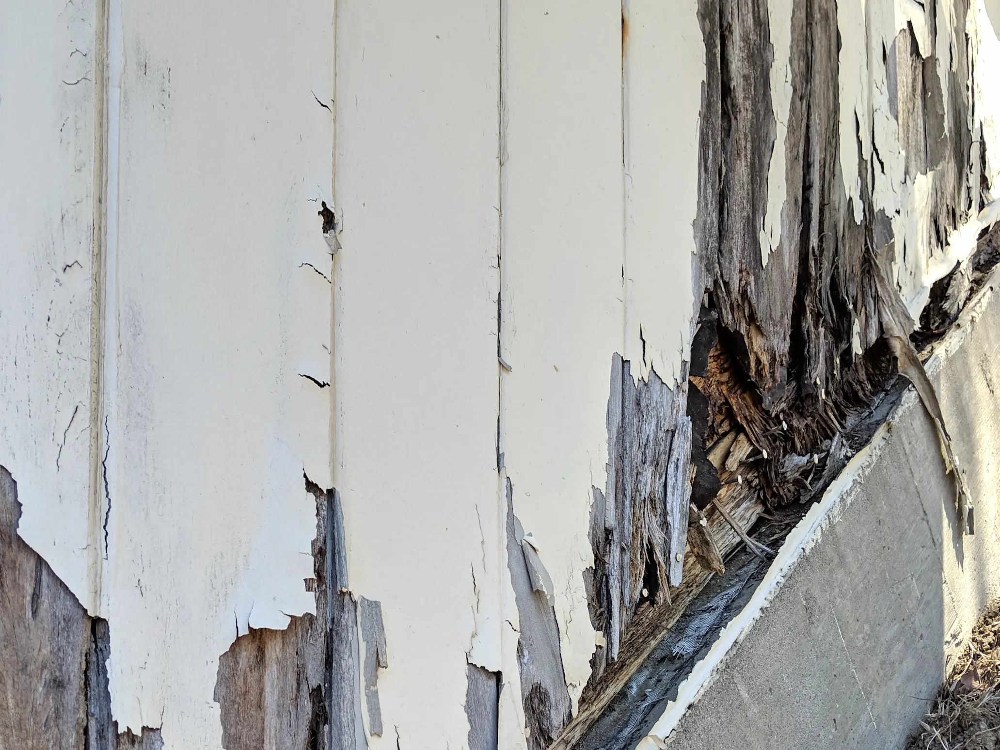 5 Signs That You Need A Wood Rot Replacement For Your Siding